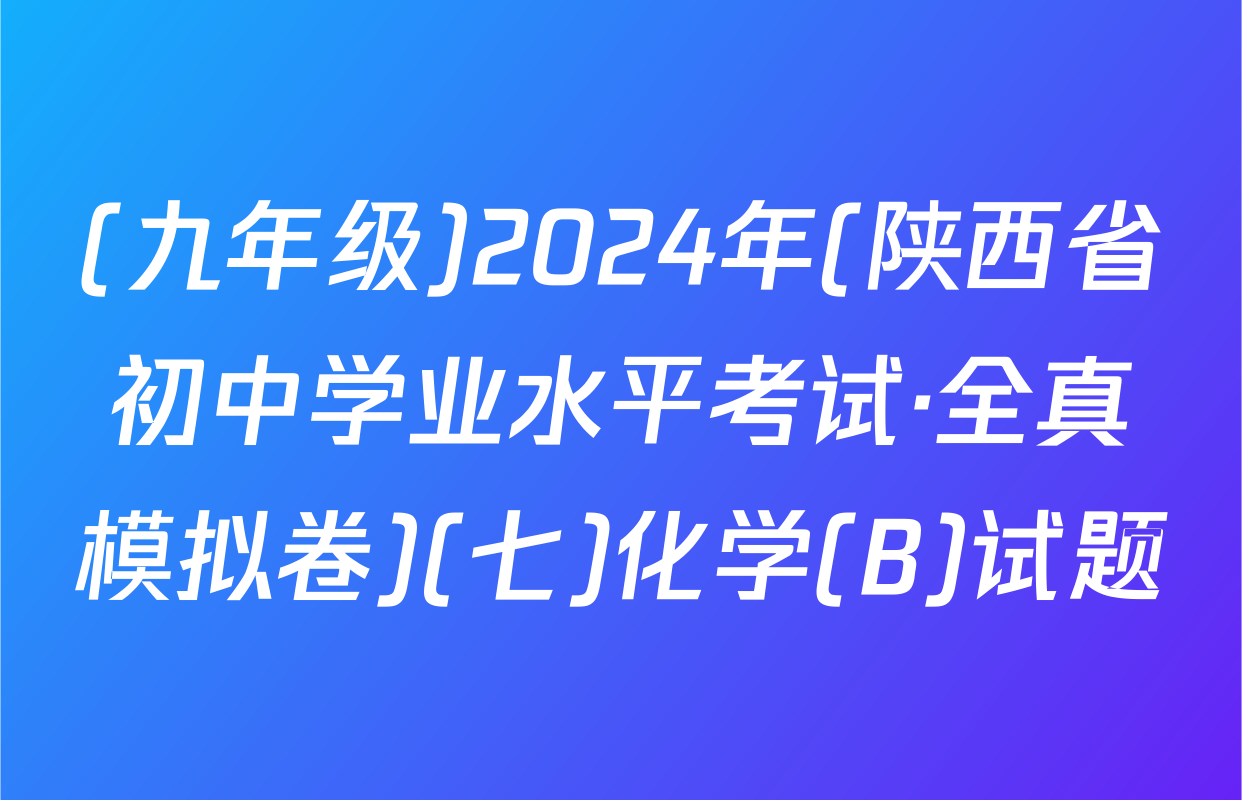 (九年级)2024年(陕西省初中学业水平考试·全真模拟卷)(七)化学(B)试题