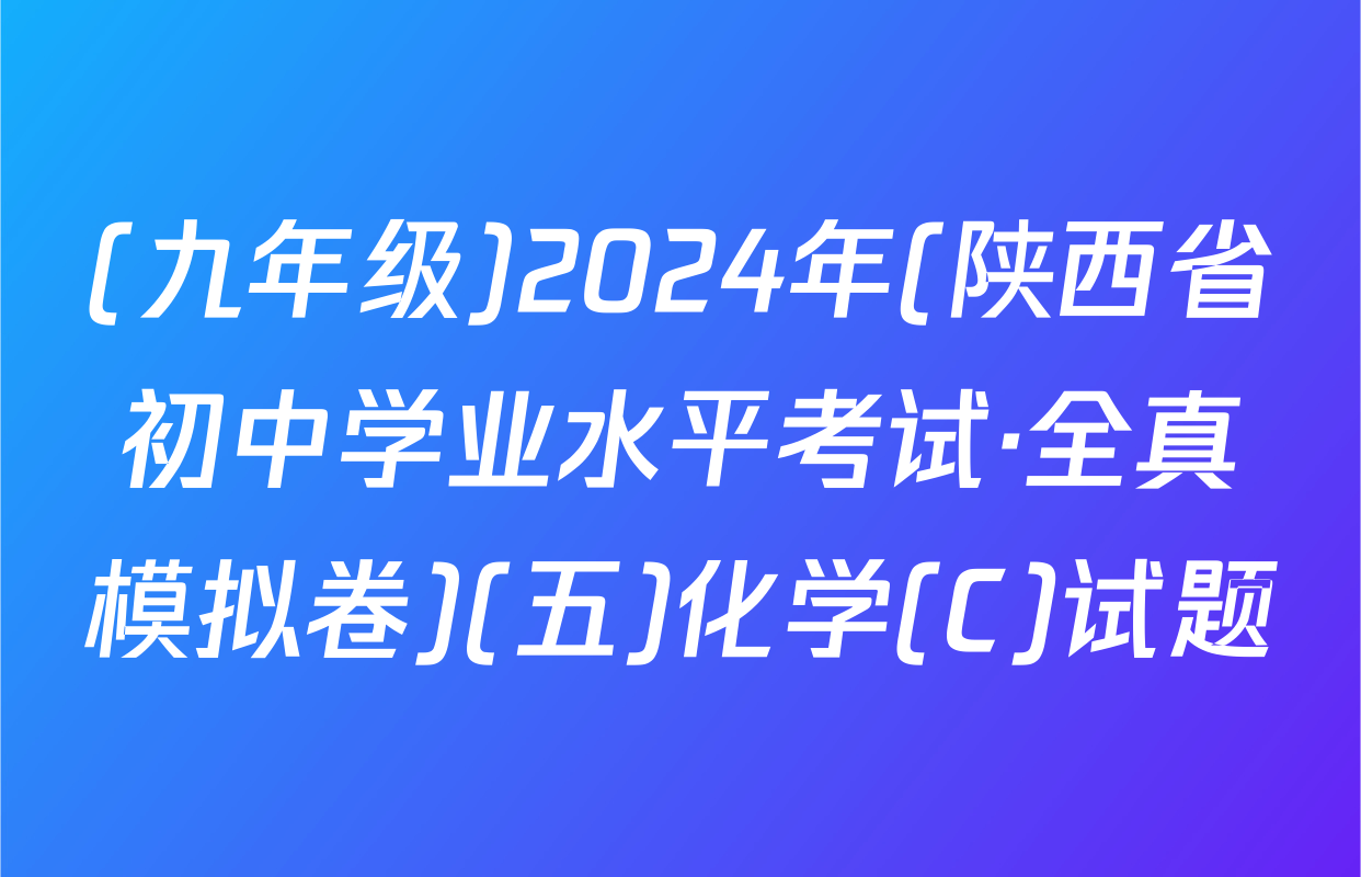 (九年级)2024年(陕西省初中学业水平考试·全真模拟卷)(五)化学(C)试题