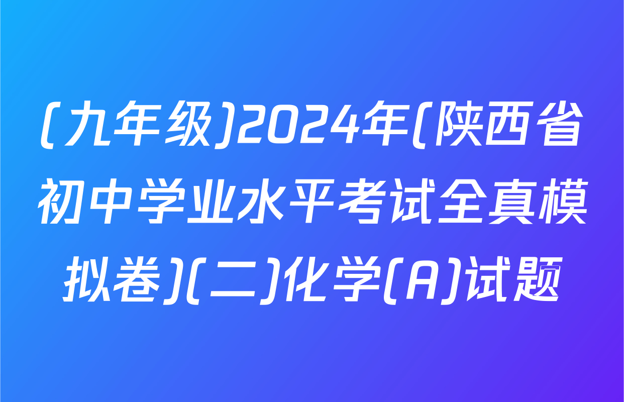 (九年级)2024年(陕西省初中学业水平考试全真模拟卷)(二)化学(A)试题