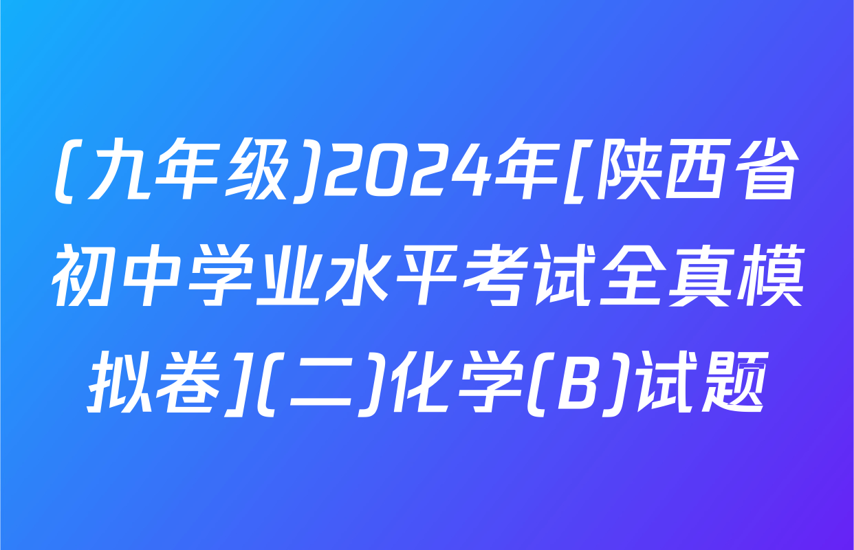 (九年级)2024年[陕西省初中学业水平考试全真模拟卷](二)化学(B)试题