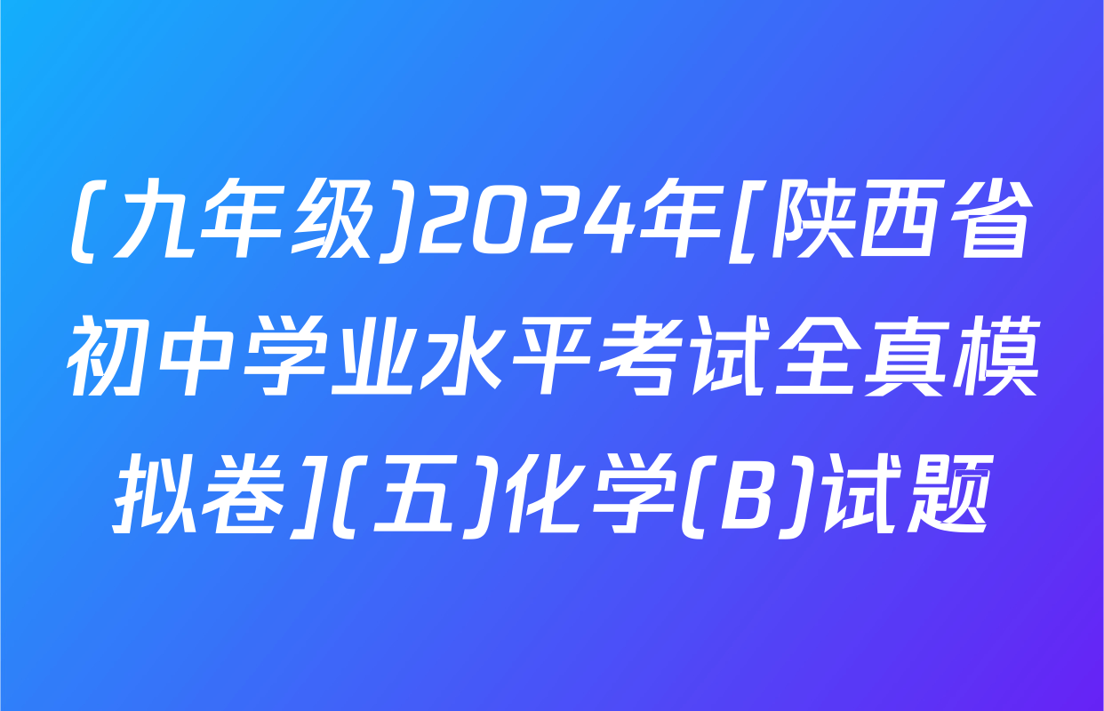 (九年级)2024年[陕西省初中学业水平考试全真模拟卷](五)化学(B)试题