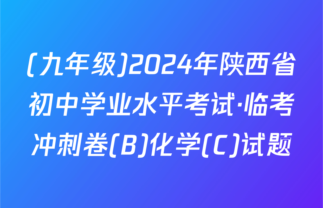 (九年级)2024年陕西省初中学业水平考试·临考冲刺卷(B)化学(C)试题