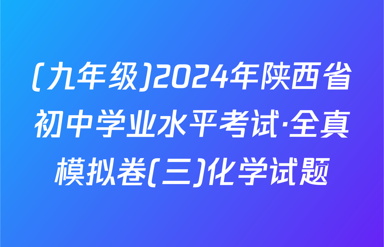 (九年级)2024年陕西省初中学业水平考试·全真模拟卷(三)化学试题
