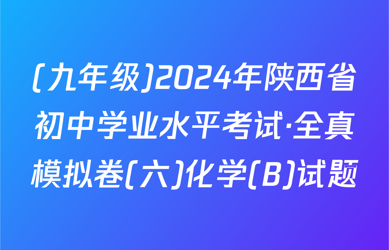 (九年级)2024年陕西省初中学业水平考试·全真模拟卷(六)化学(B)试题