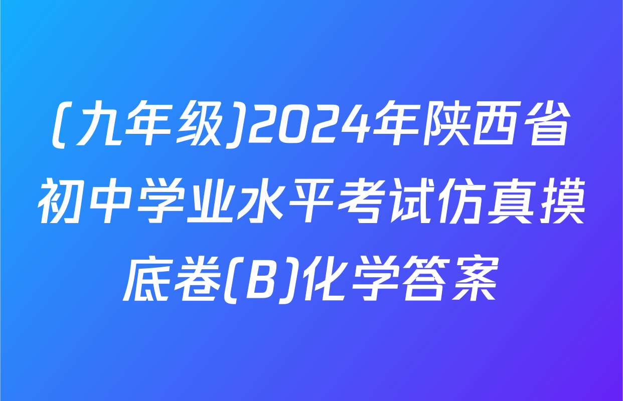 (九年级)2024年陕西省初中学业水平考试仿真摸底卷(B)化学答案