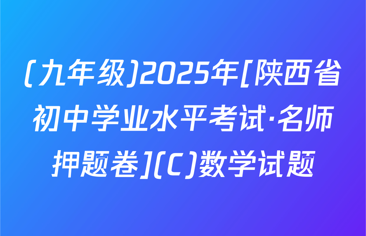(九年级)2025年[陕西省初中学业水平考试·名师押题卷](C)数学试题