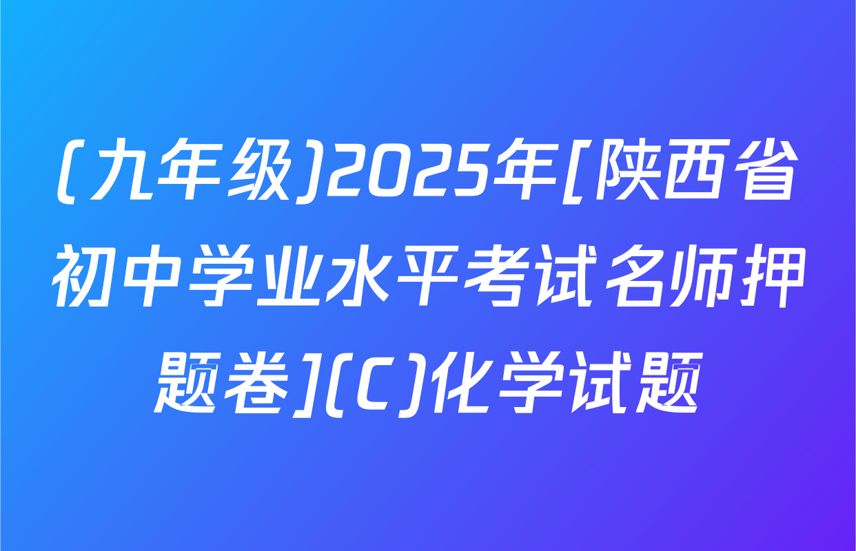 (九年级)2025年[陕西省初中学业水平考试名师押题卷](C)化学试题