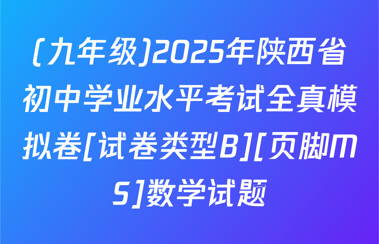 (九年级)2025年陕西省初中学业水平考试全真模拟卷[试卷类型B][页脚MS]数学试题