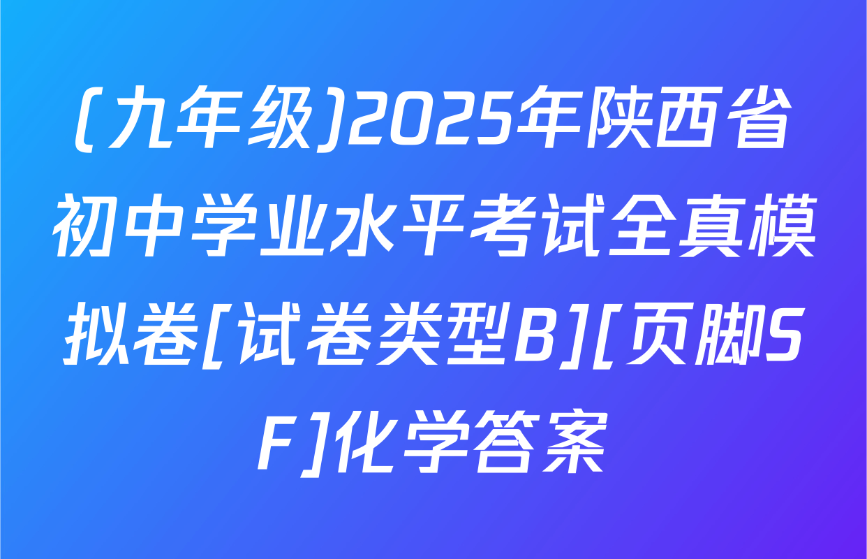 (九年级)2025年陕西省初中学业水平考试全真模拟卷[试卷类型B][页脚SF]化学答案