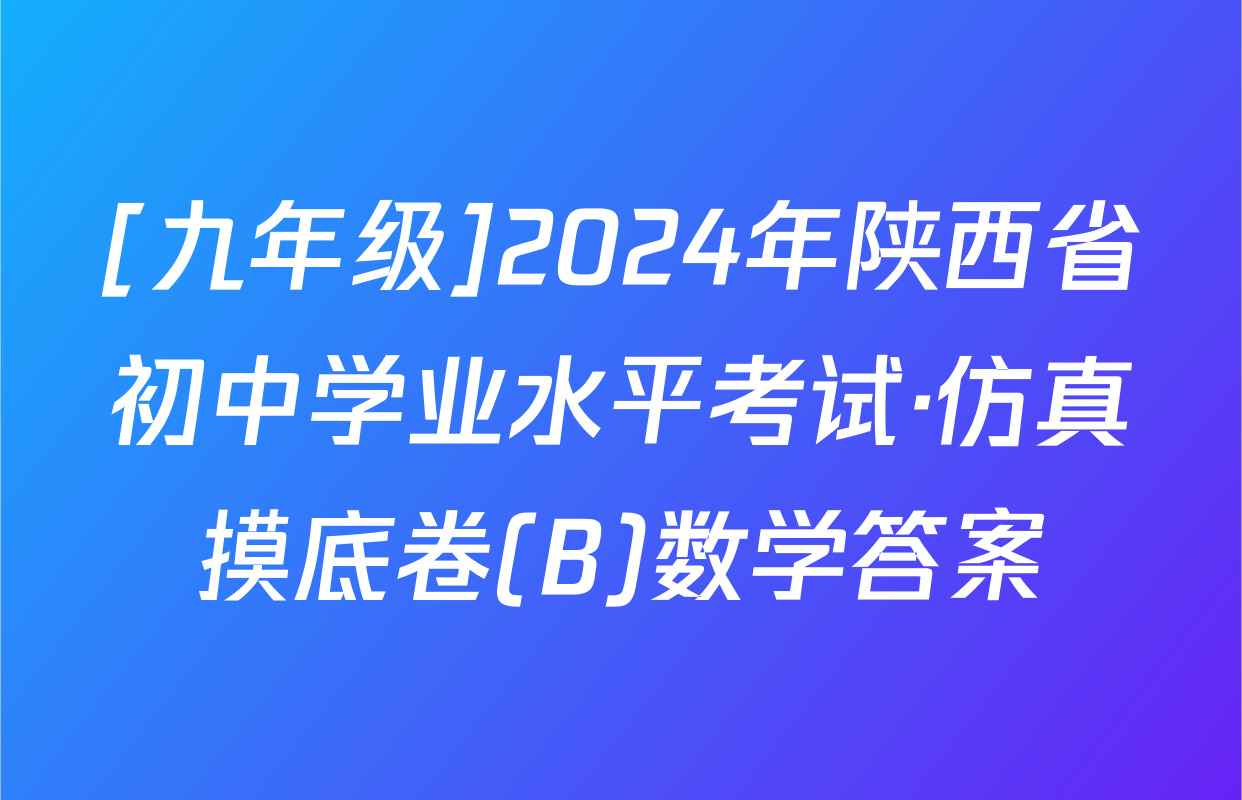 [九年级]2024年陕西省初中学业水平考试·仿真摸底卷(B)数学答案