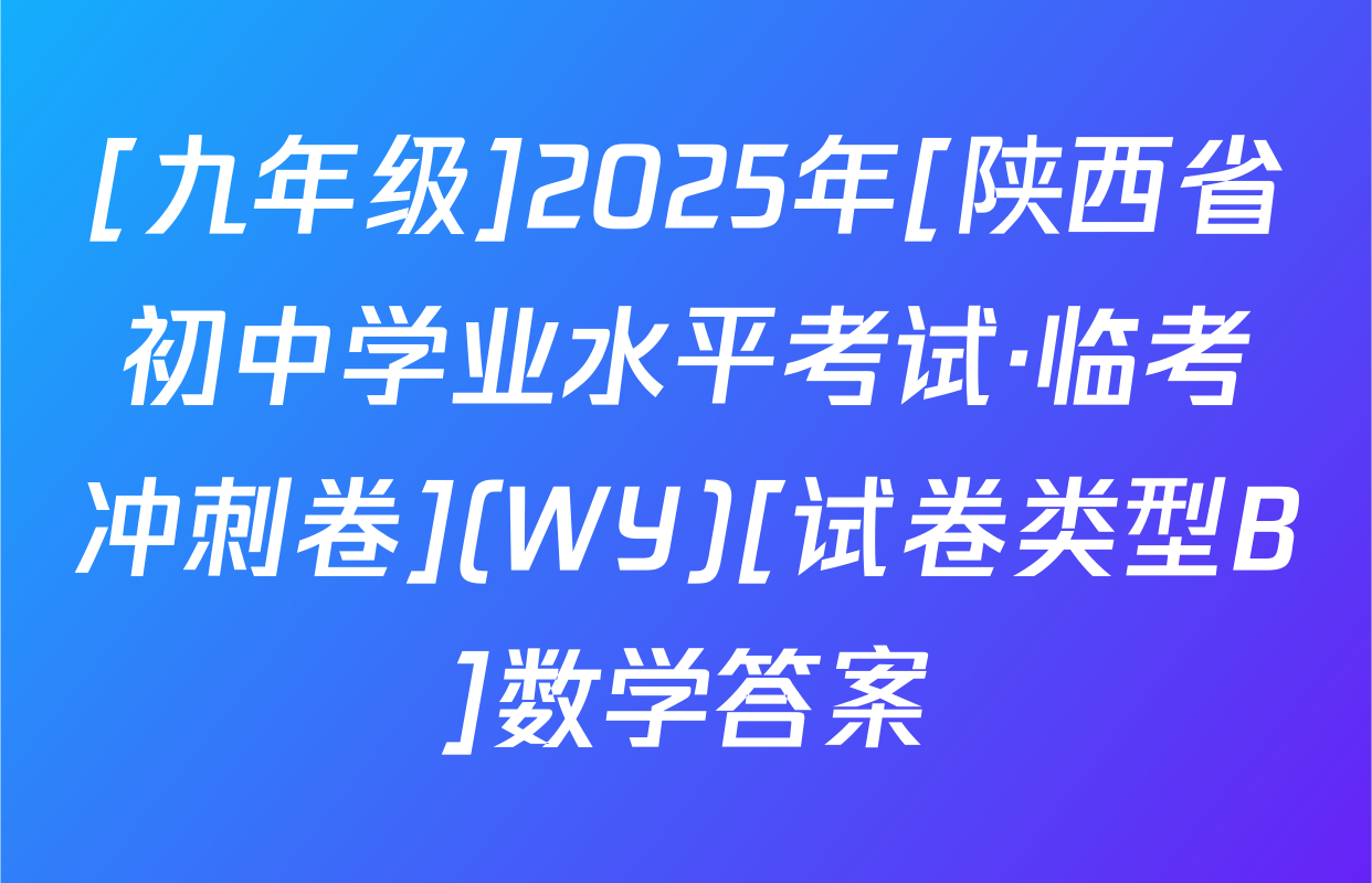 [九年级]2025年[陕西省初中学业水平考试·临考冲刺卷](WY)[试卷类型B]数学答案