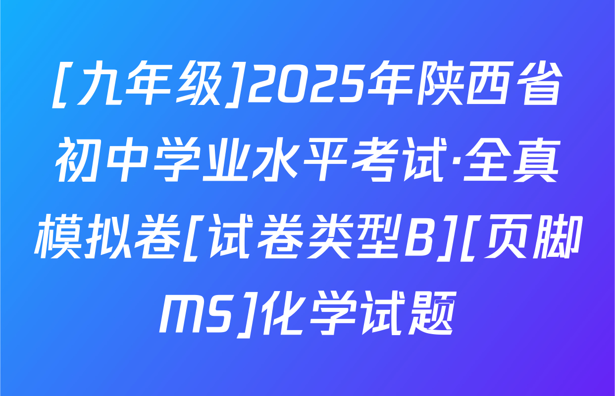 [九年级]2025年陕西省初中学业水平考试·全真模拟卷[试卷类型B][页脚MS]化学试题