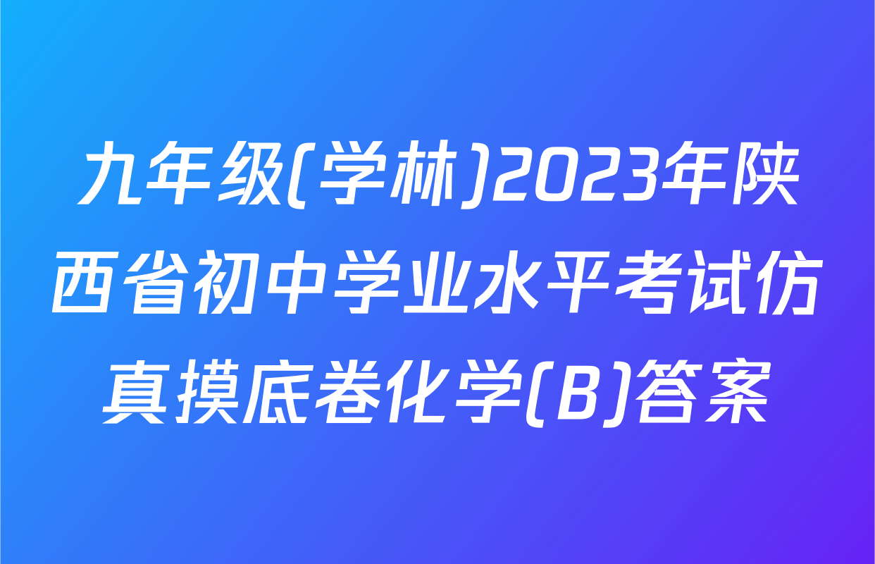 九年级(学林)2023年陕西省初中学业水平考试仿真摸底卷化学(B)答案