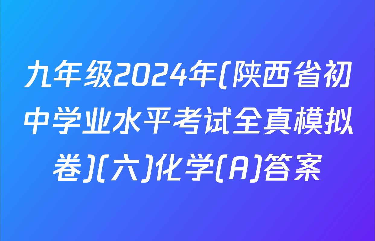 九年级2024年(陕西省初中学业水平考试全真模拟卷)(六)化学(A)答案