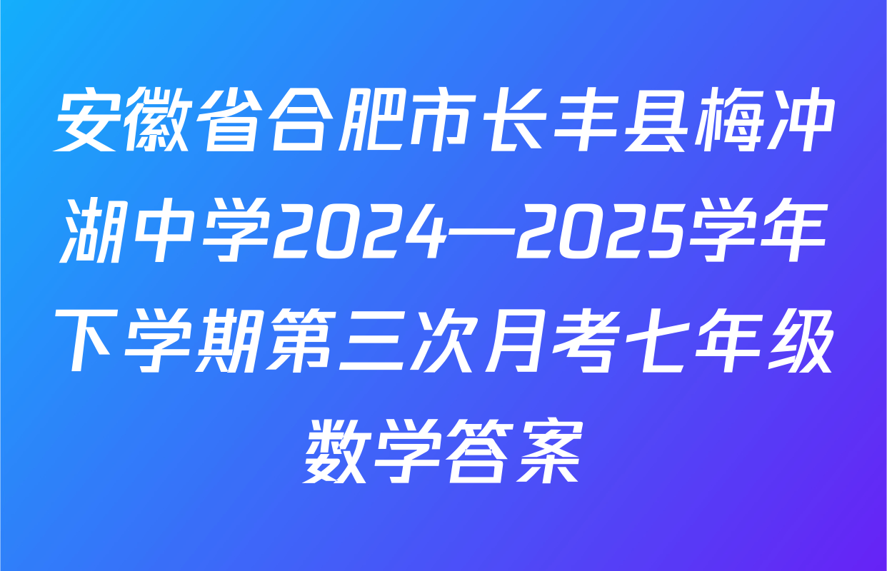 安徽省合肥市长丰县梅冲湖中学2024—2025学年下学期第三次月考七年级数学答案