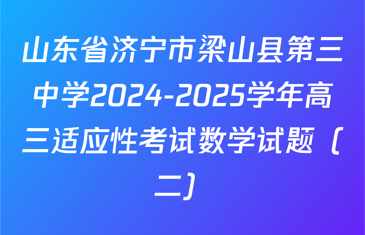 山东省济宁市梁山县第三中学2024-2025学年高三适应性考试数学试题（二）