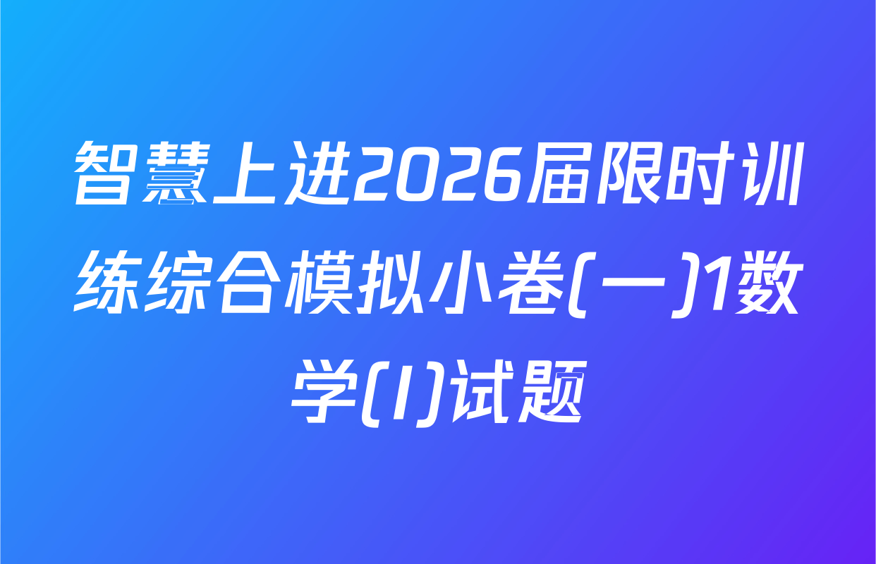 智慧上进2026届限时训练综合模拟小卷(一)1数学(I)试题