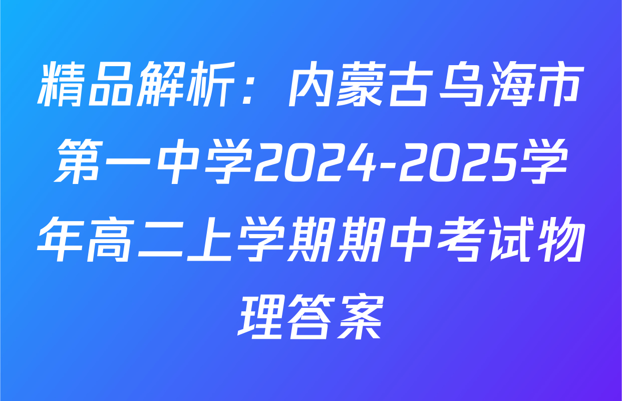 精品解析：内蒙古乌海市第一中学2024-2025学年高二上学期期中考试物理答案