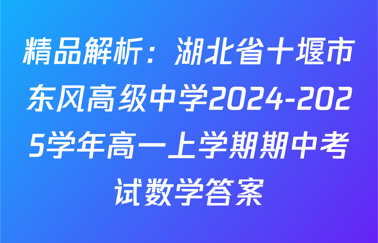 精品解析：湖北省十堰市东风高级中学2024-2025学年高一上学期期中考试数学答案