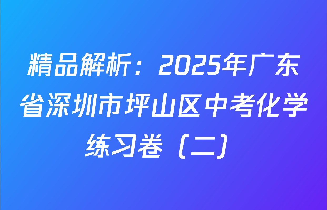 精品解析：2025年广东省深圳市坪山区中考化学练习卷（二）