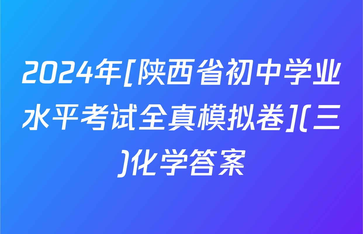 2024年[陕西省初中学业水平考试全真模拟卷](三)化学答案