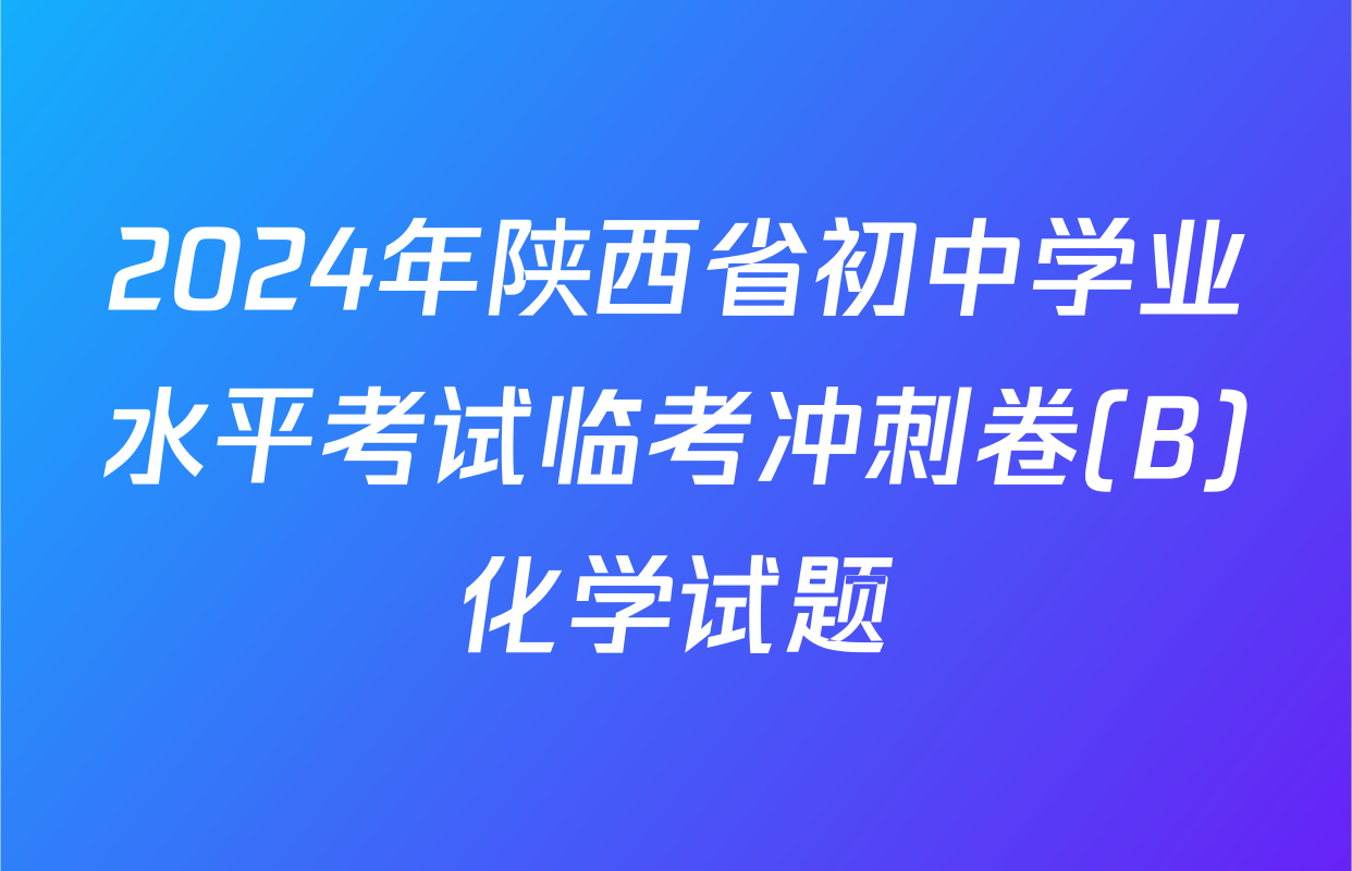 2024年陕西省初中学业水平考试临考冲刺卷(B)化学试题