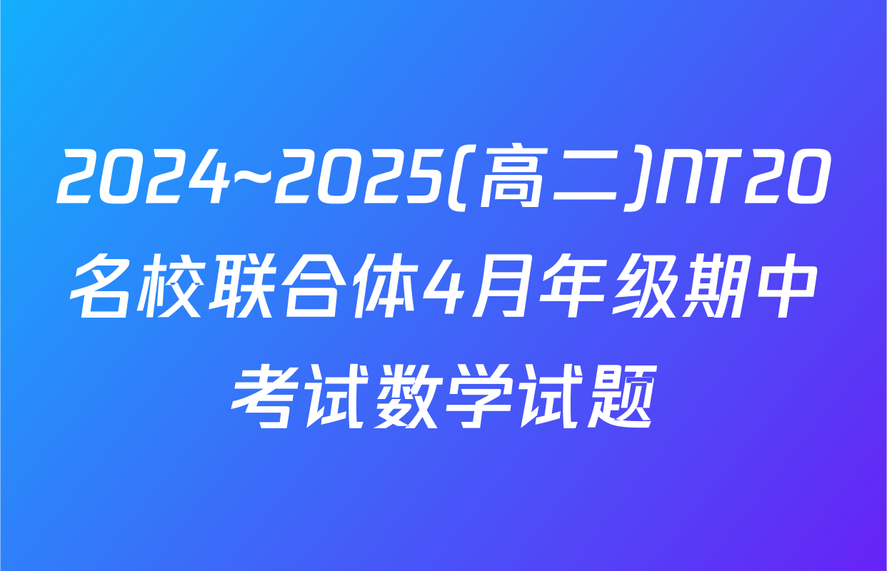 2024~2025(高二)NT20名校联合体4月年级期中考试数学试题