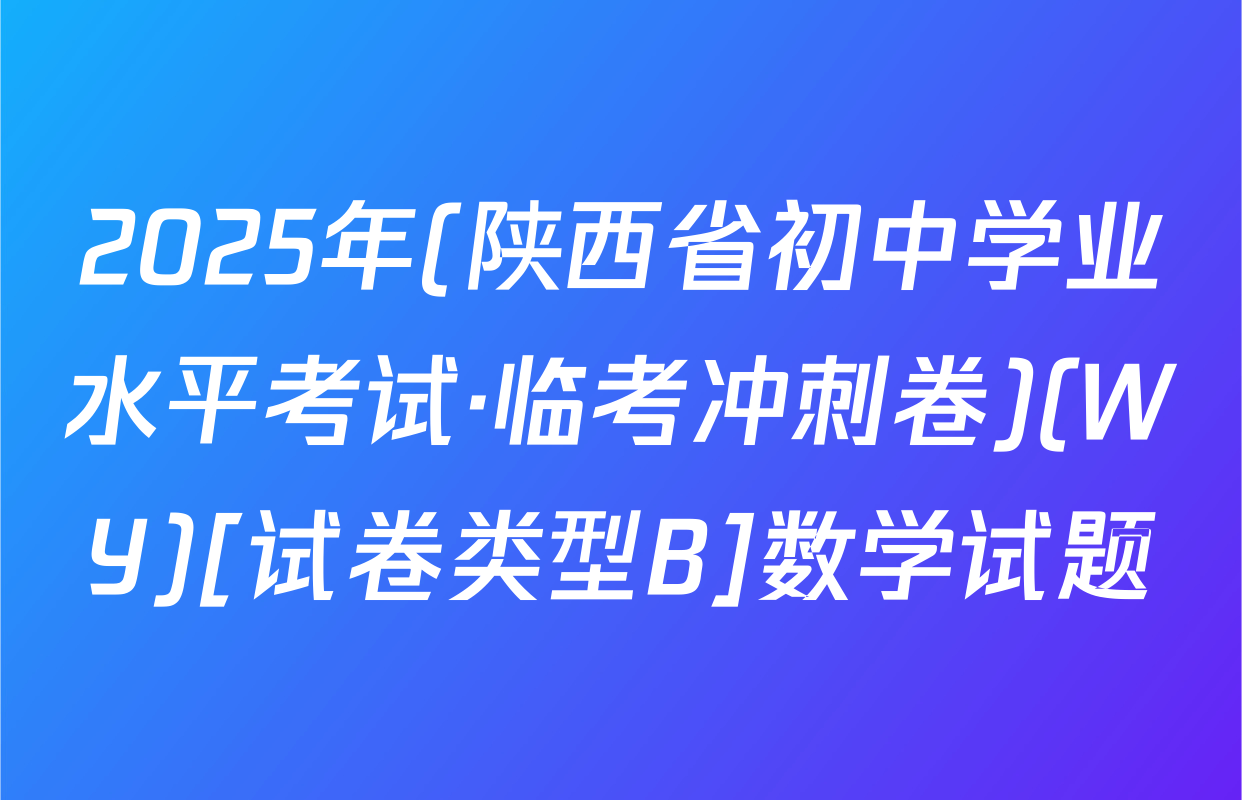 2025年(陕西省初中学业水平考试·临考冲刺卷)(WY)[试卷类型B]数学试题