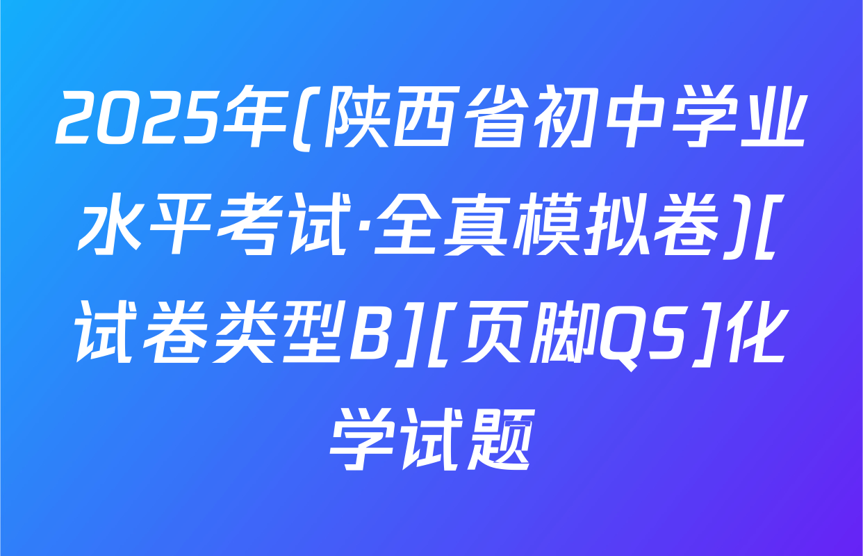 2025年(陕西省初中学业水平考试·全真模拟卷)[试卷类型B][页脚QS]化学试题