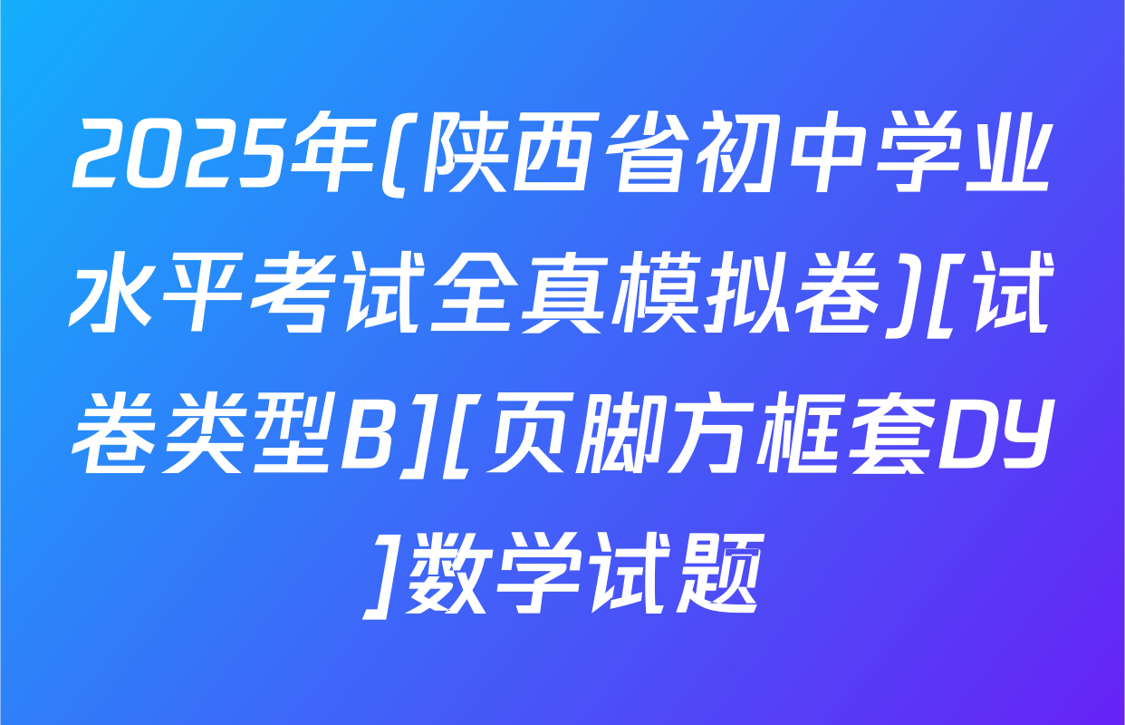 2025年(陕西省初中学业水平考试全真模拟卷)[试卷类型B][页脚方框套DY]数学试题