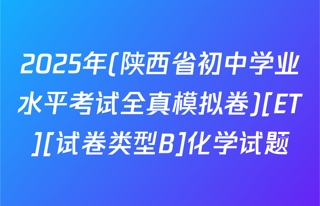 2025年(陕西省初中学业水平考试全真模拟卷)[ET][试卷类型B]化学试题