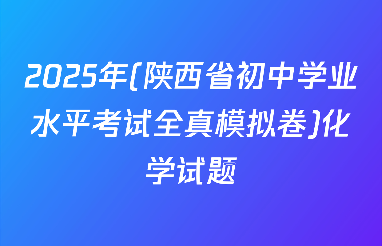 2025年(陕西省初中学业水平考试全真模拟卷)化学试题