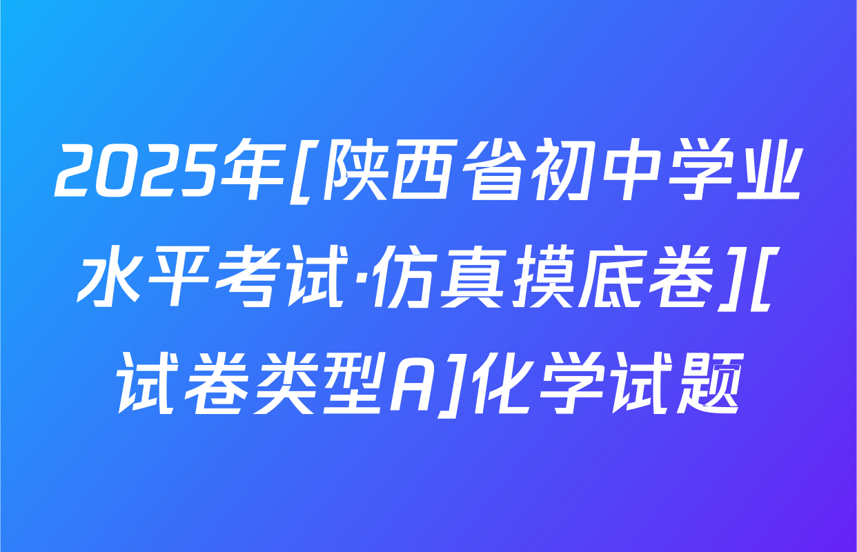 2025年[陕西省初中学业水平考试·仿真摸底卷][试卷类型A]化学试题