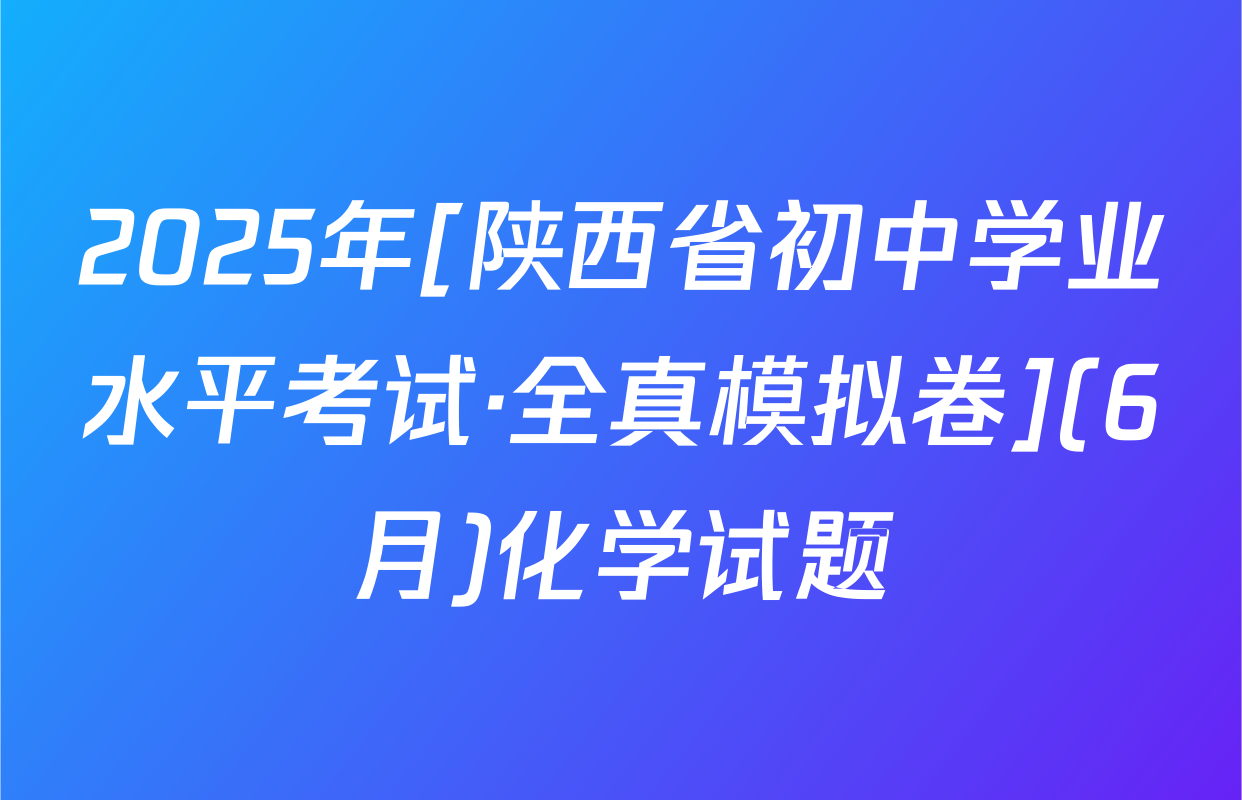 2025年[陕西省初中学业水平考试·全真模拟卷](6月)化学试题