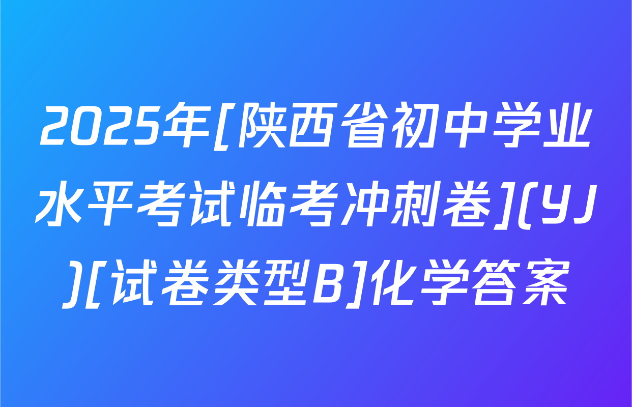 2025年[陕西省初中学业水平考试临考冲刺卷](YJ)[试卷类型B]化学答案