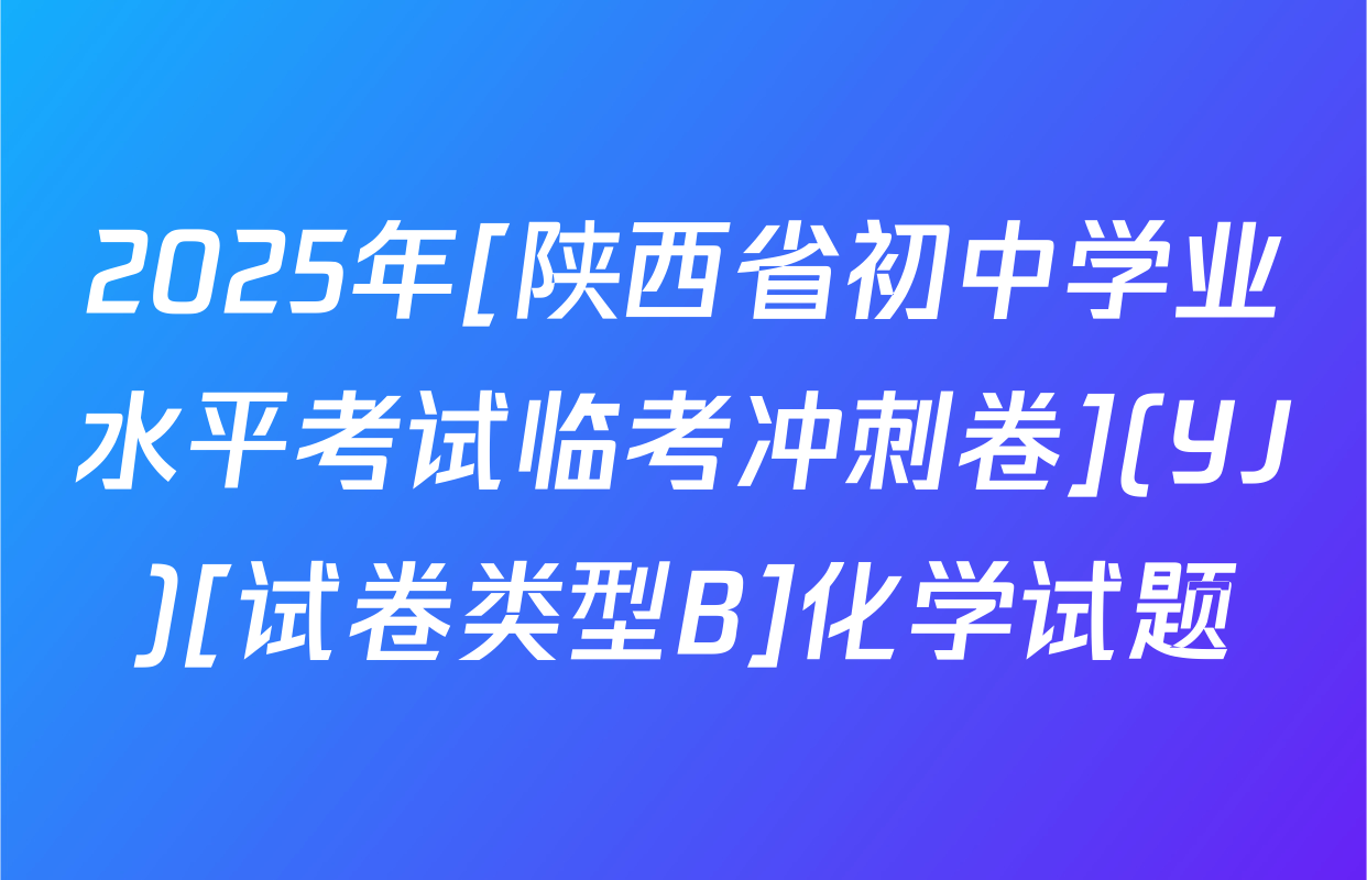 2025年[陕西省初中学业水平考试临考冲刺卷](YJ)[试卷类型B]化学试题